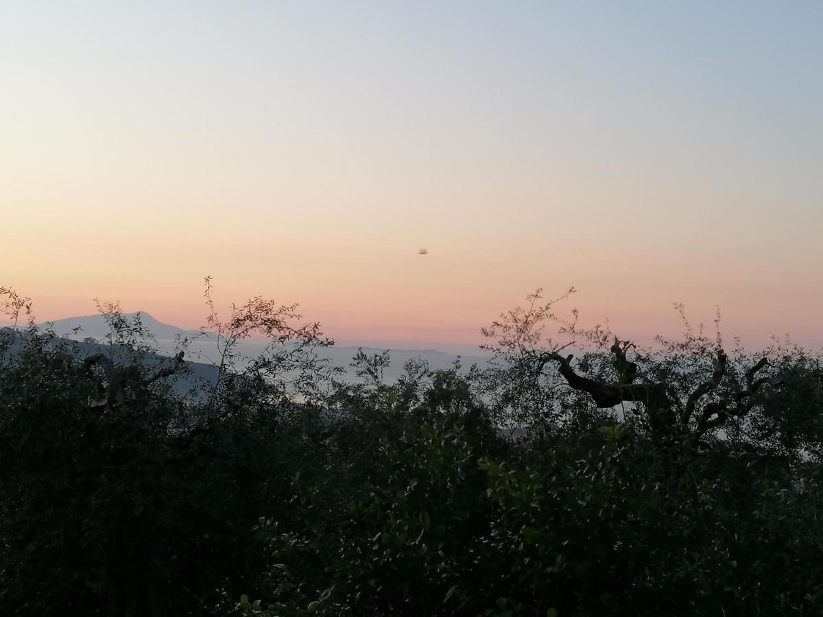 Yourhome - San Valerio Apartment Sorrento